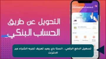 تسهيل الدفع الرقمي.. انستا باي يعيد تعريف تجربة الشراء عبر الإنترنت